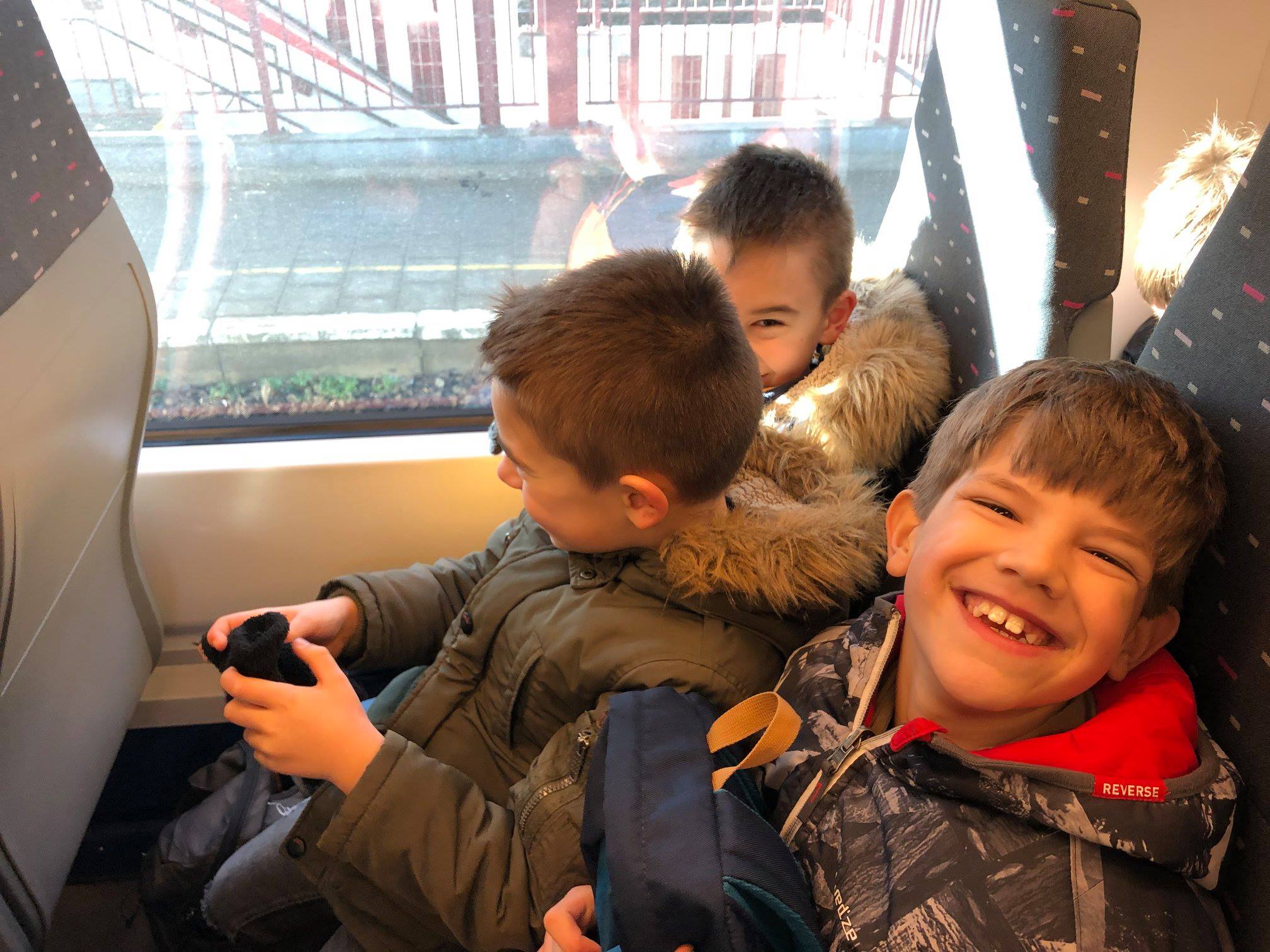 Sint-Martinus den XIIde - Zoo Antwerpen Kapoenen